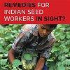 INDIA NIEUWS 9 november 2018 Een publicatie van de Landelijke India Werkgroep Nieuw voortgangsrapport Landelijke India Werkgroep over aanpak kinderarbeid en te lage lonen door zaadbedrijven Het