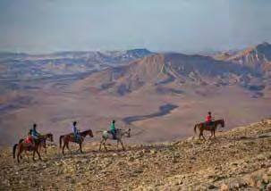 Tegen geringe vergoeding kan men tevens een koelkastje en/of koffiezetapparaat op de kamer krijgen. Mitzpeh Ramon In deze plaats in de Negev woestijn is de natuur werkelijk overweldigend!