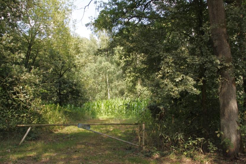 Op dit veldje links voor de stroom stond de herberg van Schoormans Nauwelijks was Jasper op weg, hij was gehuwd met Jenneke Verhagen uit Lage Mierde, of hij werd vanuit een hinderlaag met een