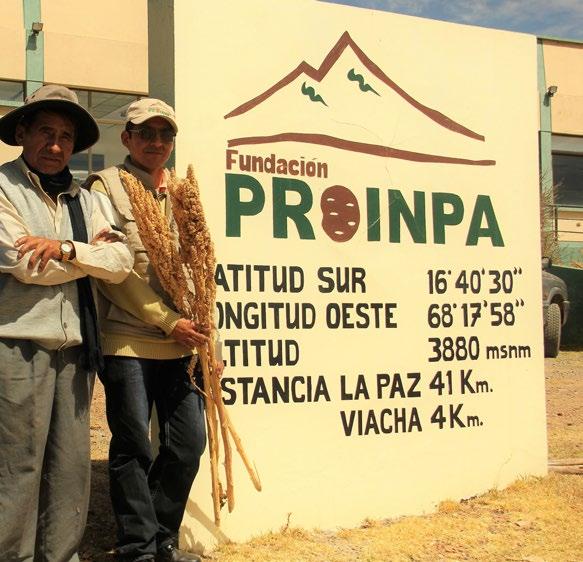 Biologische bestrijding in quinoa: dappere initiatieven op Boliviaanse hoogvlakte Jenneke van Vliet CLM / tijdelijk bij Fundación PROINPA De Boliviaanse organisatie PROINPA (www.proinpa.