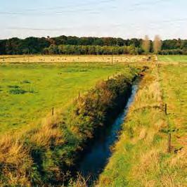 Afferdensche en Deestsche