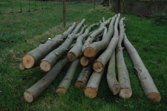 met zitpaaltjes, en niet te dicht bij drukke (spoor)wegen.