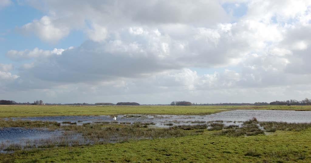 Het (noord)westelijke deel wordt gevormd door het zand op het Drents- Friese keileemplateau