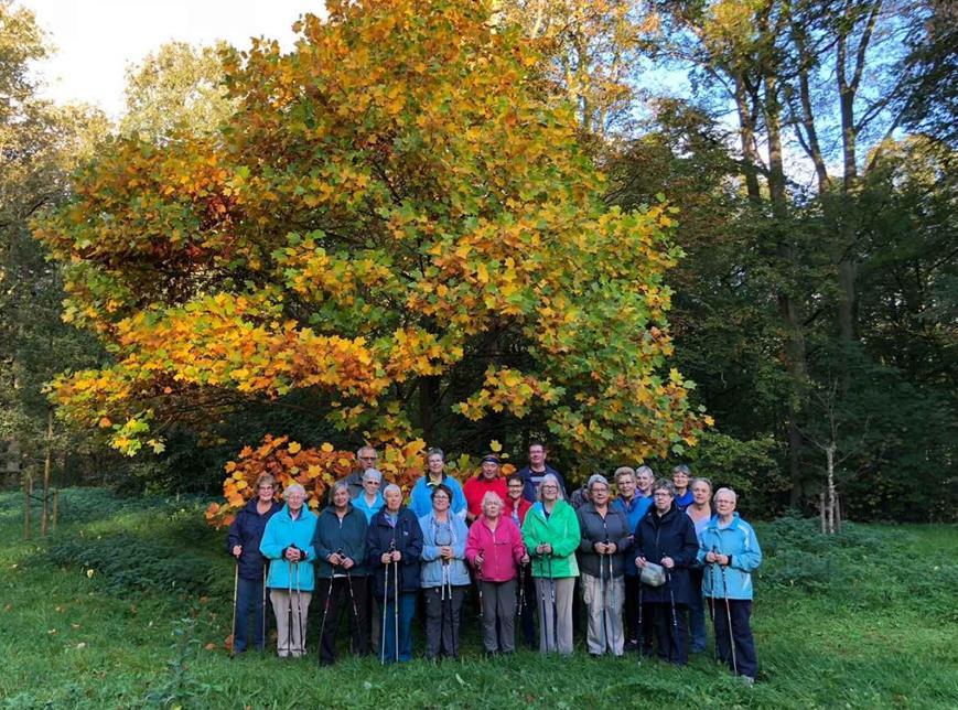 23 oktober 2018 Beste leden, Net terug van onze vakantie naar Zuid-Frankrijk, over tot de orde van de dag. Gisteren konden alle wandelaars nog genieten van de fijne herfstkleuren.