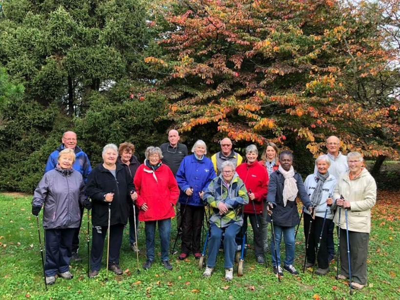 In de herfst haalt de boom het bladgroen uit de bladeren en slaat het via de sapstroom in het hout op.