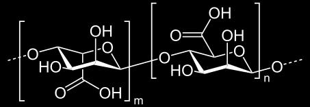 Alginaat uit korrelslib Alginaat is een hydrofiel polymeer dat gemaakt wordt uit zeewier.