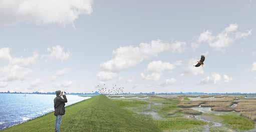 De nieuwe spectaculaire ligging aan zee geeft een enorme impuls aan IJburg, Almere en Lelystad. Na honderd jaar is er door natuurlijke opslibbing een robuuste kustverdediging ontstaan.
