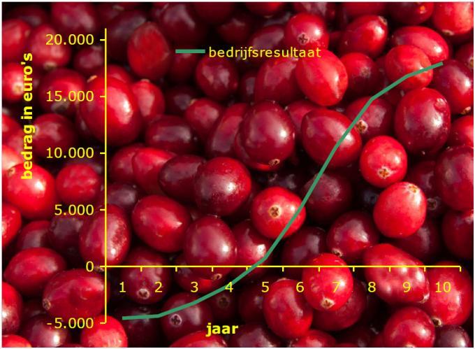 Figuur 19: Verloop bedrijfsresultaat (Buijs, J, 2015). Vanaf het derde/vierde jaar na aanplant is er een eerste oogst mogelijk. Daarna komt de productie goed op gang.