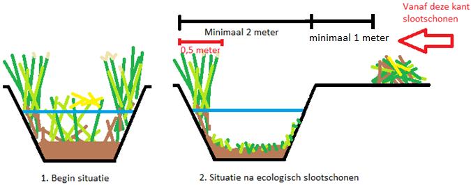 Ecologisch slootschonen Hoe werkt het? - Er wordt op één kant van het talud niet geschoond. - Vanaf de insteek van het talud tot 50 cm wordt niet geschoond.