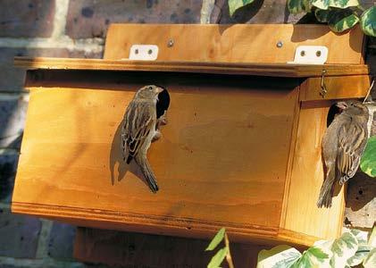 Om negatieve effecten van spouwmuurisolatie op vleermuizen en vogels te voorkomen, kan na-isolatie het beste plaatsvinden in september.