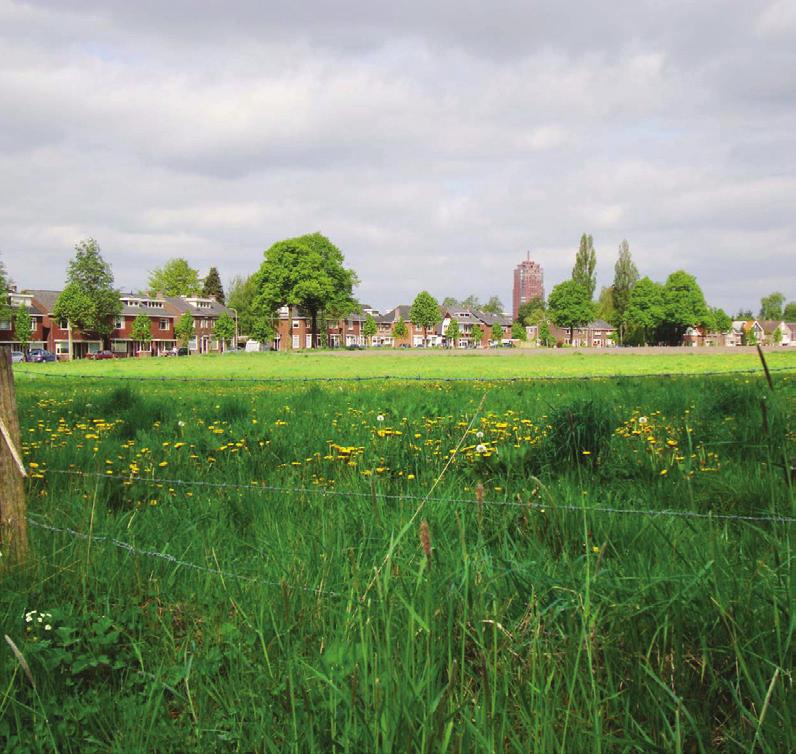 Regioleren kan de kennisvraagstukken van een werkplaats inhouden.