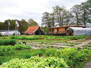 5.1 Kennisagenda Groene Kennispoort Twente Thema 1 Leven en werken in het buitengebied Thema 2 Groenblauwe dooradering Thema 3 Ondernemen in Twente Thema 4 Voeding en Gezondheid Thema 5 Groene