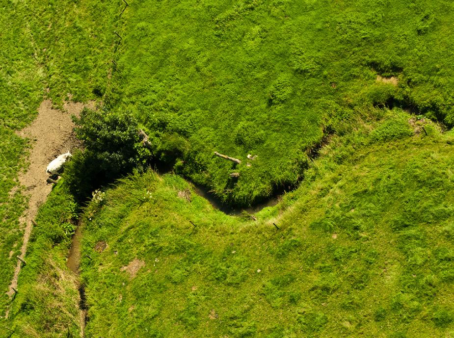 De ligging van de bedding ligt niet vast in het landschap De precieze ligging van een waterloop ligt niet vast: de waterloop mag/kan zich verplaatsen in het landschap.