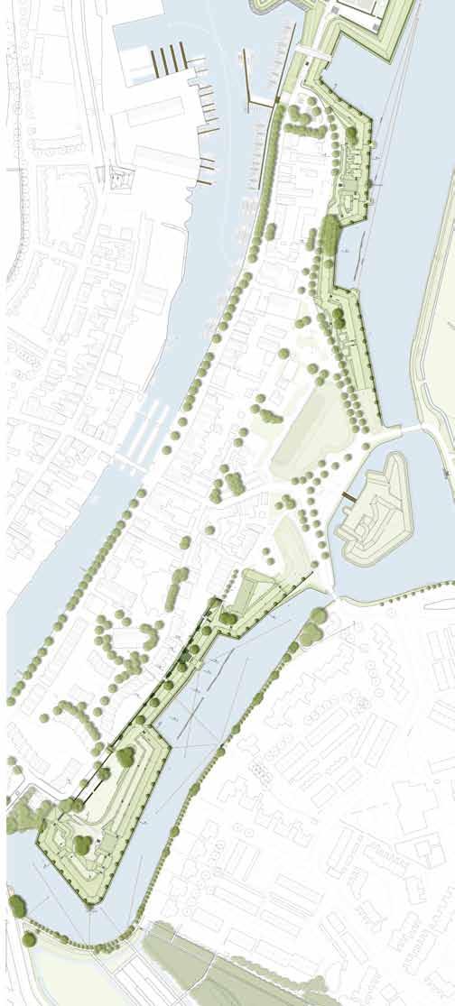 secundaire ecologische verbinding buitenzijde Vestinggracht grotere bomen Bastions behoud ecologische waarde wilg