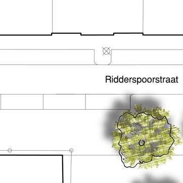 Schetsontwerp - Organisch en groen 6 Organisch en groen Het plein wordt een parkje met halfverharding, verhoogde