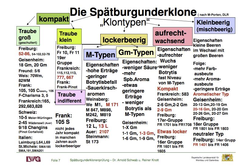 FLIGHT 2 Spätburgunder - VDP.GROSSES GEWÄCHS In 2016 was wereldwijd 98.437 ha met pinot noir beplant. In Frankrijk 29.738 ha, in de USA 16.776 ha, in Duitsland 11.784 ha (VDP 648 ha), in Moldavië 6.