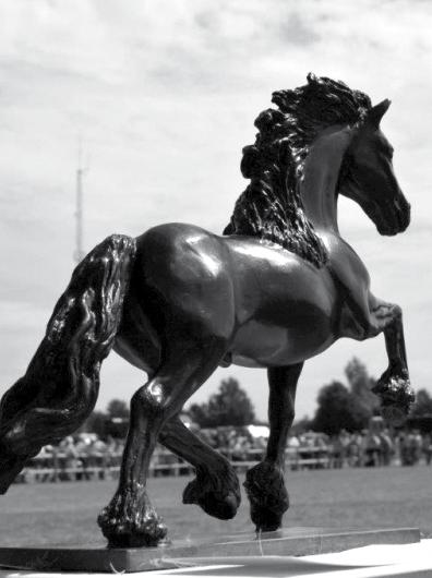 WISSELTROFEE VOOR 39 E FOKDAG Sinds de 35e Fokdag van de vereniging, heeft het bestuur een wisseltrofee voor de winnaar van de Fokdag Hilvarenbeek. Het is een fors bronzen beeld van een Fries paard.