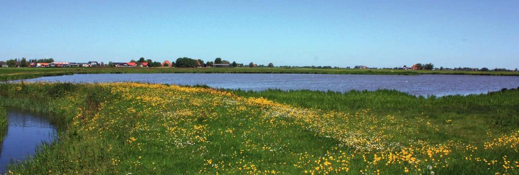 Werkroute Openbare ruimte De inrichting en het beheer van bestaande en nieuwe infrastructuur, bedrijventerreinen, waterbeheer en andere aspecten van de openbare ruimte dragen momenteel onvoldoende