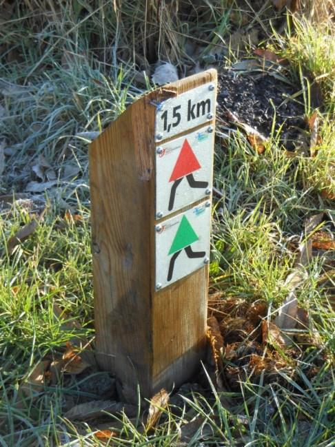 Deze is verdeeld in twee lussen: > een korte lus van om en bij de 3,4 km, aangeduid met groene pijlen > een lange lus van 5,8 km, in het rood aangegeven Sportaanbod volwassenen in De Pinte Atletiek: