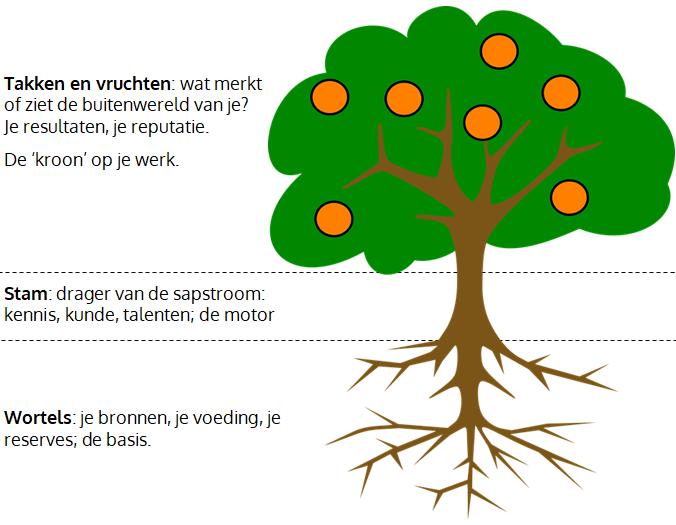 De dag werd gestructureerd door gefaseerd te praten over Oase aan de hand van het model van een boom, zoals hieronder weergegeven.