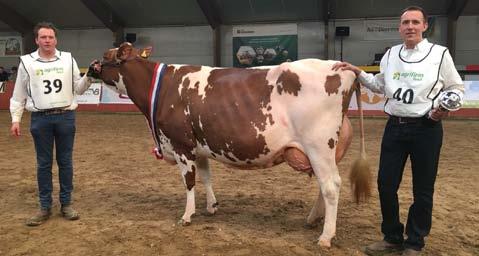 Julandy dochters winnen in Dronten Op de wintershow Dronten was het algemeen kampioenschap voor Julandy dochter Bea van de gebroeders van Veelen uit Zeewolde.