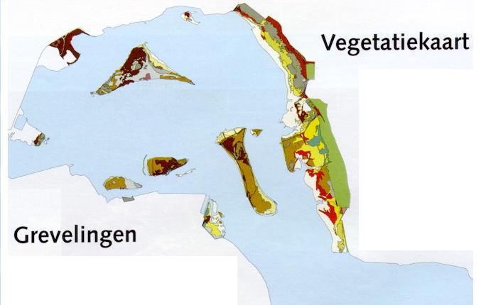 Ecologisch adviesbureau Sandvicensis 6 1 7 5 4 2 8 3 Figuur 5. Ligging BMP-plots in de Grevelingen; ondergrond vegetatiekaart situatie 1986. Namen BMP-plots 1. Hompelvoet 2. Veermansplaat 3.