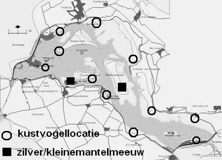 Ecologisch adviesbureau Sandvicensis Tabel 33. Aantalsverloop Dwergstern per deelgebied 2003 t/m 2013.