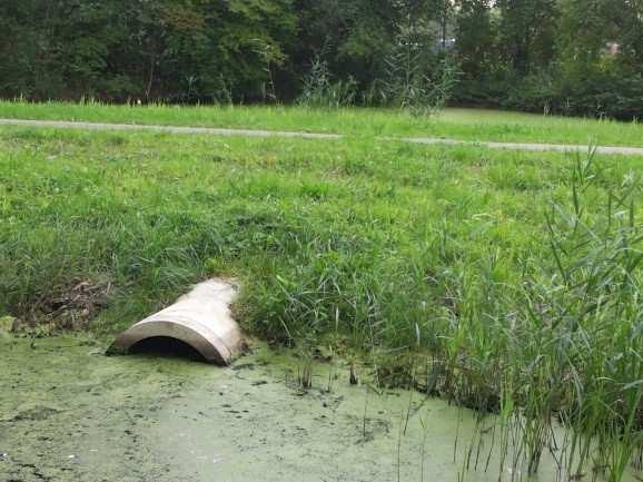 Gemeente Nieuwegein Volgnummer 3 (van 3) Bijdrage 7.500 Totaal geraamd 15.