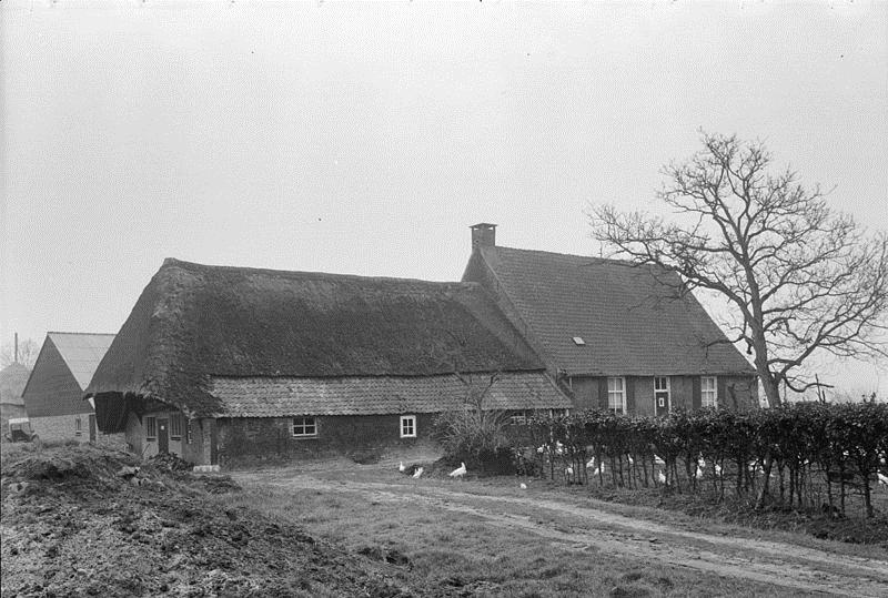 Bezoek aan boerderij De Armenhoef Oirschotseweg 117, 5684 NH Best Door Harrie van Vroenhoven, voorzitter van heemkundekring Dye van Best worden we ontvangen.