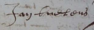 IV bis. Daneel BUELEN ca 1444. Besetman voor zijn neef Laureys Buelens bij het leenverhef a 1493 7. 1. Daneel, volgt V. V. Daneel BUELEN ca 1470, q d 1523. 1. Daneel, volgtvi. 2. Pauwel, volgt VI bis.