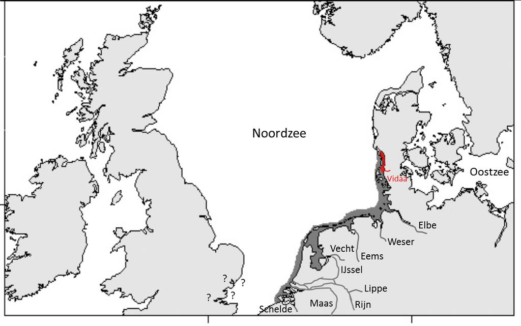 3 Historische ontwikkeling en verspreiding van houting 3.