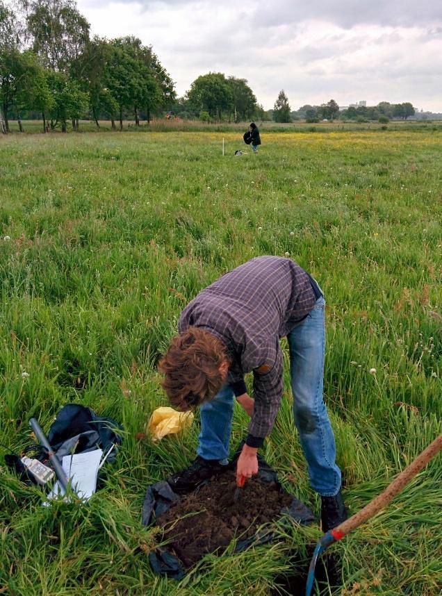 aantal beestjes 3 8A 8B 10A 10B 11B 11C 20 22 33 55 57 71A 71B 70 60 50 40 30 20 10 0 Verdeling beestjes in de bodem Vliegen(larve)