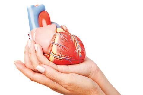 Mortaliteit PCI-patiënten Tabel 1 In hospitaal In hospitaal een-jaars een-jaars een-jaars een-jaars 2016 2017 2015 2015 2016 2016 cardiaal niet-cardiaal cardiaal niet-cardiaal STEMI-PCI 6,00% 4,90%