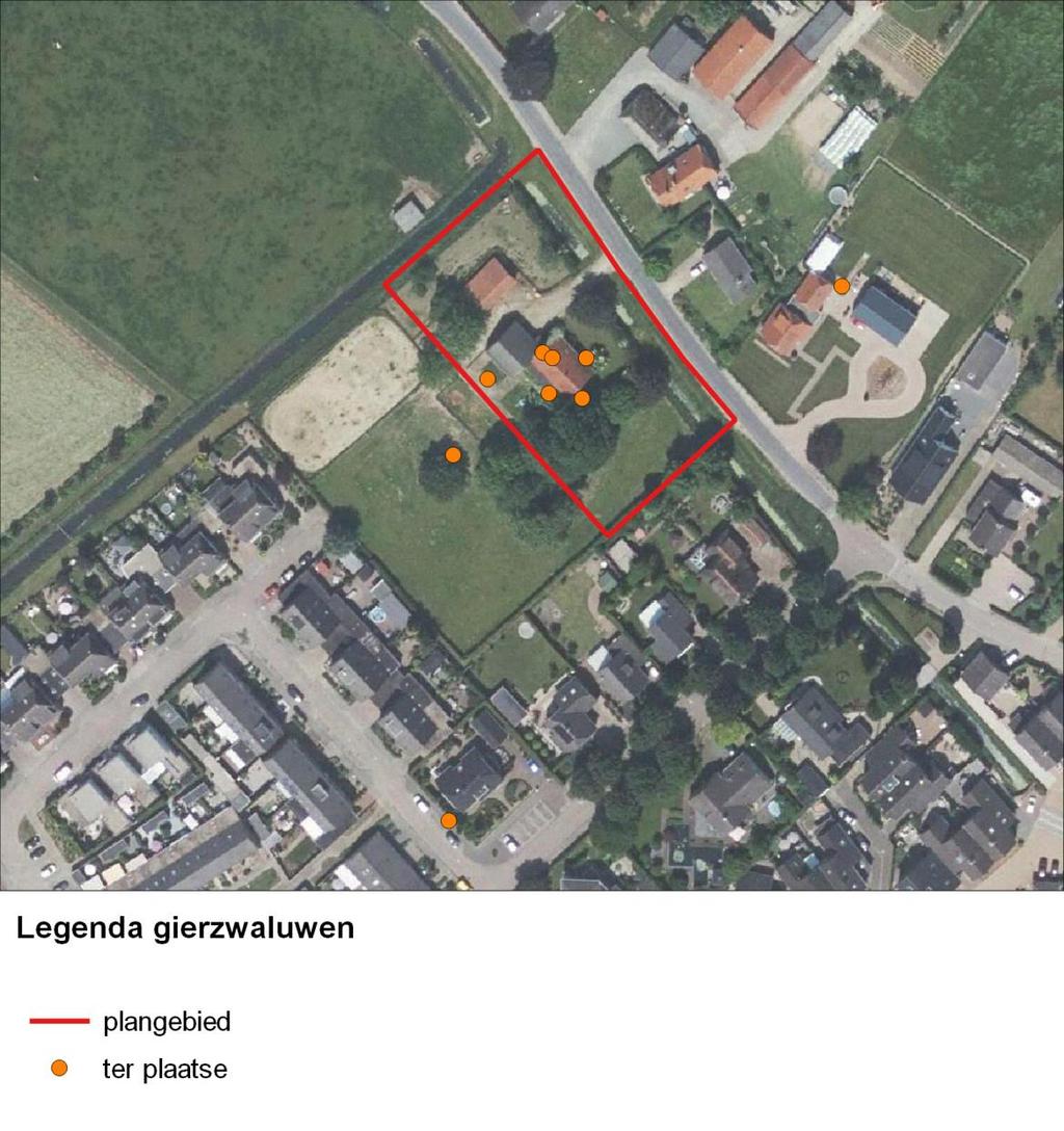 5 Resultaten De veldbezoeken voor de gierzwaluw hebben plaatsgevonden op 21 juni en 3 en 13 juli 2017. Het eerste veldbezoek is uitgevoerd door twee personen, de laatste twee door één persoon.