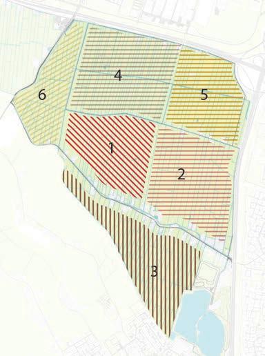 Mogelijke uitwerking van de scenario s Energie Voorop Zon Voorop De Ring MOGELIJKE FASERING WONINGBOUW IN RIJNENBURG NA 2030 PERSPECTIEF Raadscenario 4 ENERGIEOPBRENGST 12 windmolens - 180 GWh/jaar