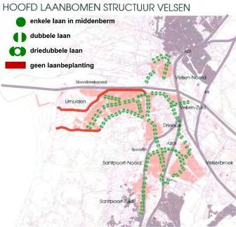 32 Groenbeleidsplan Velsen 2008 Bomenplan 2003 In het stedelijke gebied wordt de groenstructuur voor een belangrijk deel gevormd door laanbomen.