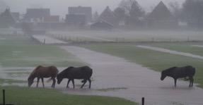 Hierdoor kan regenwater niet goed in de grond wegtrekken en moet een deel via sloten of het rioolsysteem worden afgevoerd.