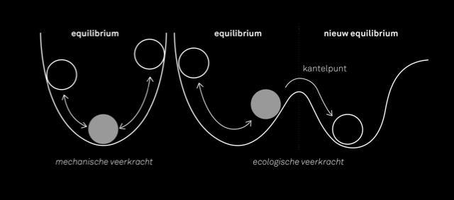 >> wenselijke en onwenselijke equilibria veerkracht in de ecologie niet alleen incasseren ook aanpassen en transformeren Een equilibrium bestaat uit interactiepatronen op meerdere niveaus (in jezelf,