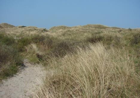 Oost-Ameland, de aangrenzende Noordzee en het wad ten zuiden van Ameland ligt.