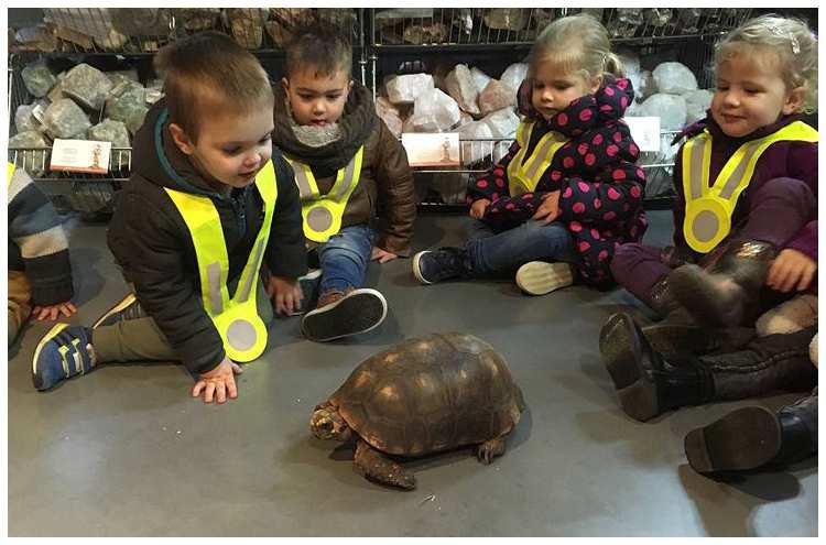 18. Verzekeringen Wanneer uw kind het kinderdagverblijf bezoekt is uw kind verzekerd. Ook tijdens uitstapjes geldt deze verzekering. 19. Oudercommissie Het kinderdagverblijf heeft een oudercommissie.