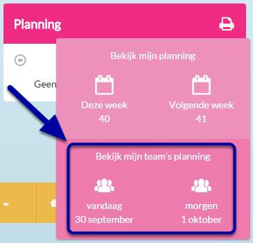 Melding 'Sorry, er is iets misgegaan', of een wit scherm, of een lege PDF bij het opvragen van de teamplanning via het medewerkerportaal Gedrag Bij het ophalen van de teamplanning in het