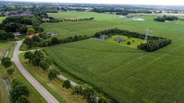 Gelegen in het buitengebied van Weert, bieden wij u een langgevelboerderij met bijgebouwen aan op een perceel van ruim 1 hectare. De mogelijkheid bestaat om extra grond bij te kopen.