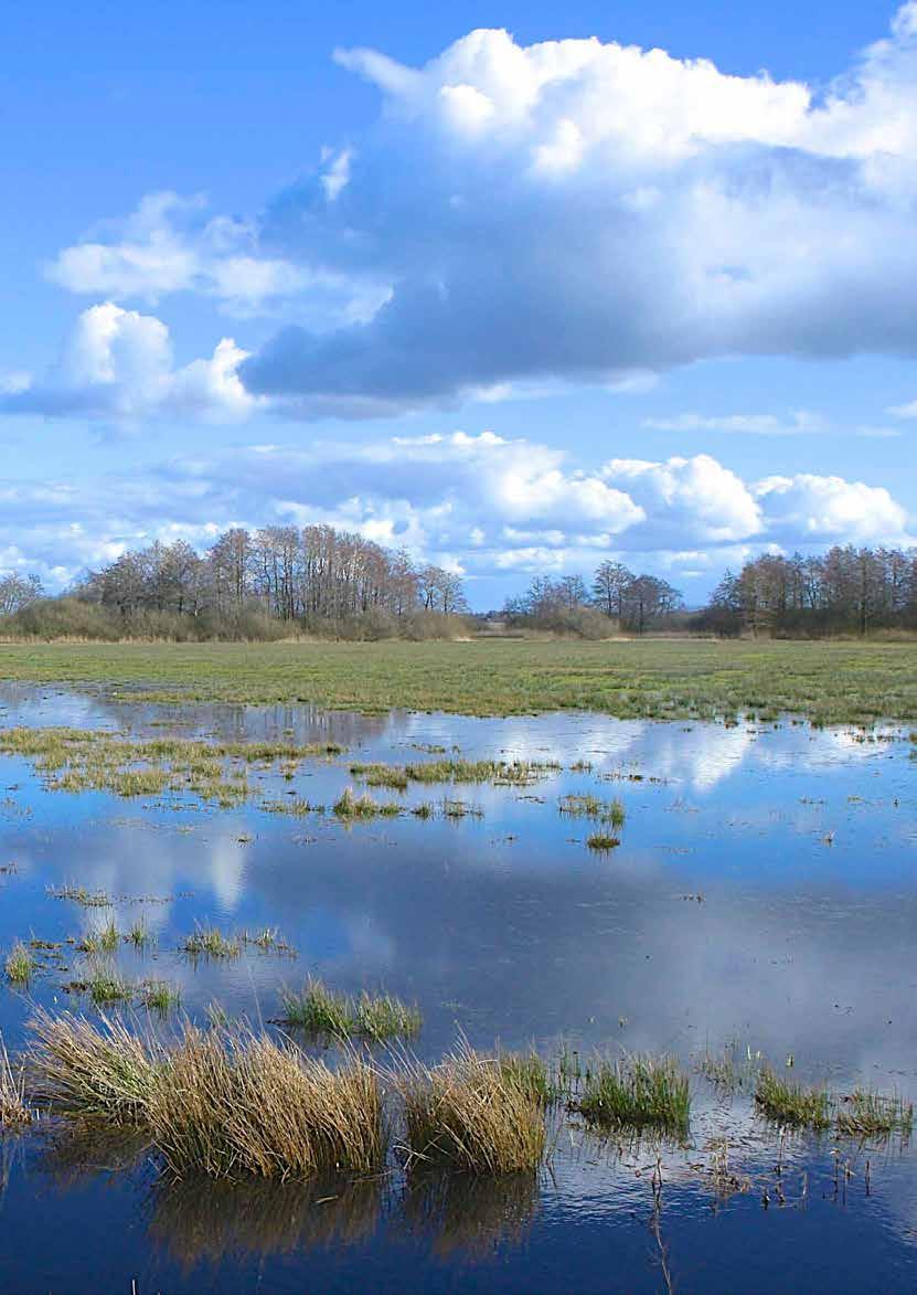 Stichting Het Drentse Landschap Bezoekadres Kloosterstraat 5 9401 KD Assen Postadres Postbus 83 9400 AB Assen Telefoon (0592) 31