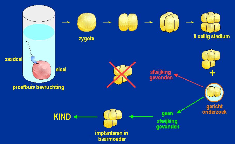 Pre-implantatie