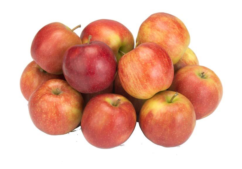 DE EIGENSCHAPPEN VAN AMID-THIN W zorgt voor een betere vruchtmaat en dikkere vruchten voorkomt beurtjaren dunt nooit te sterk verbetert de kwaliteit van de vruchten AANBEVELINGEN EN DOSERINGEN
