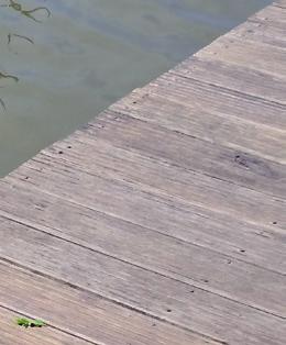 Deckcare Horsemencare voor buitenhout Hout is een prachtig bouwmateriaal. Denk aan houten steigers. Wij zien ook veel terrasdelen in de publieke ruimte. Houten banken.