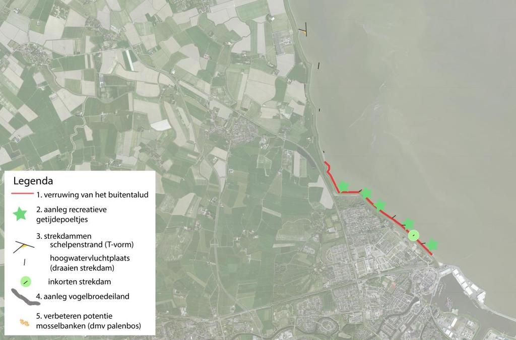 Aanleg recreatieve getijdepoeltjes Getijdepoeltjes zijn bedoeld om het water langs de dijk vast te houden met laagwater zodat verschillende dieren hier een