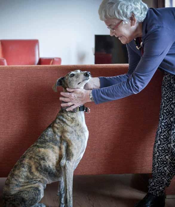 DEMENTIE- MAATJE VTH: EEN VRIENDELIJKE GEZICHT EN EEN LUISTEREND OOR Voor het aanmelden van cliënten of vrijwilligers kan men Een dementiemaatje is een vrijwilliger die een terecht bij de medewerkers