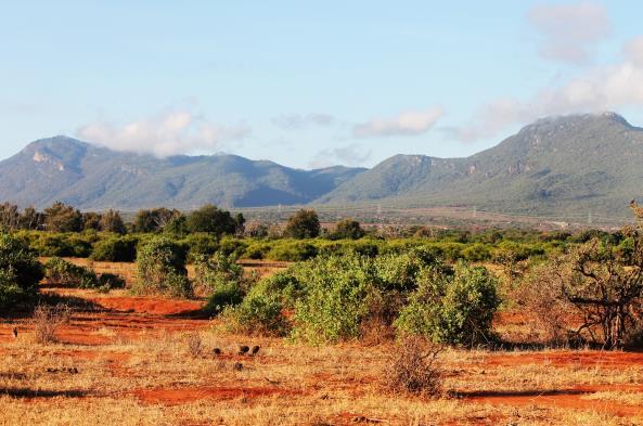 Wat meer weetjes over Kenia: Kenia ligt op het midden van de evenaar en heeft een oppervlakte van iets minder dan 583.000 km 2.