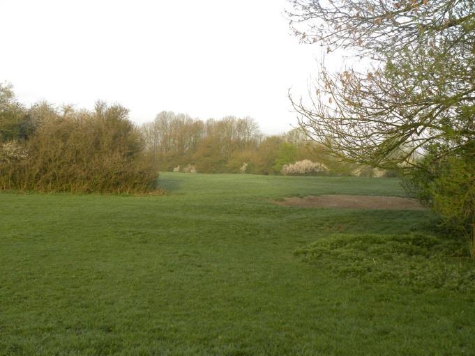 Tussen de heggen en hagen liggen extensief begraasde weiden met poelen en boomgroepen.